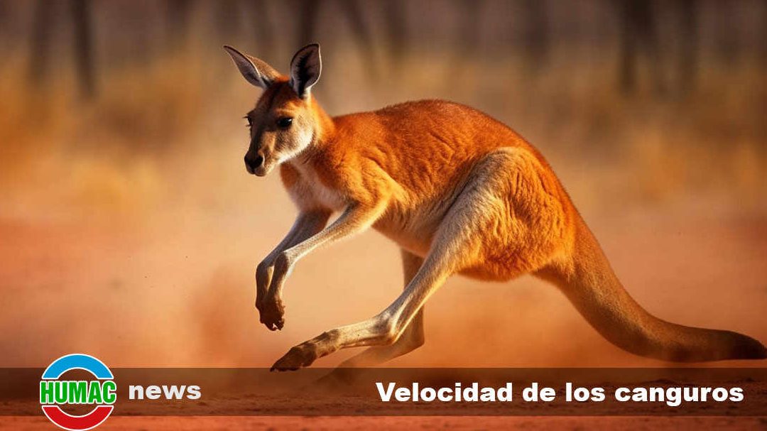 la fascinante vida de los mamiferos marsupiales en el mundo