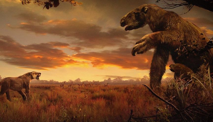 la fascinanteregla de bergmanny su impacto en los animales