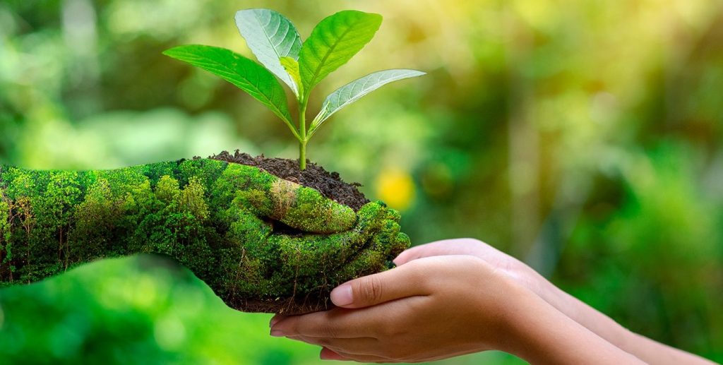 la importancia de la gestion ambiental para el desarrollo sostenible