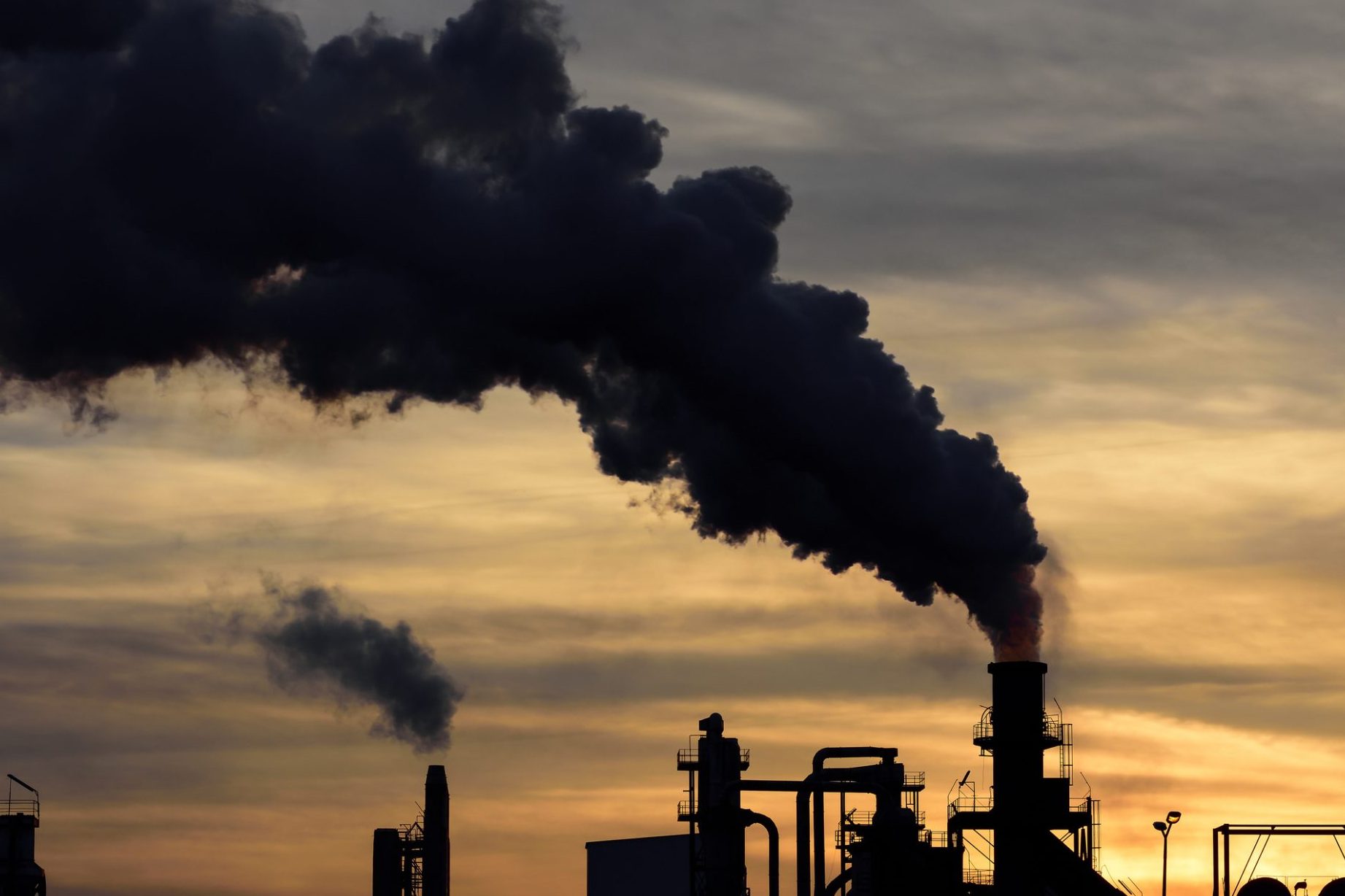 la importancia de laseguridad ambientalen tiempos de crisis