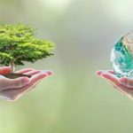 la importancia de los animales polinizadores en nuestros ecosistemas