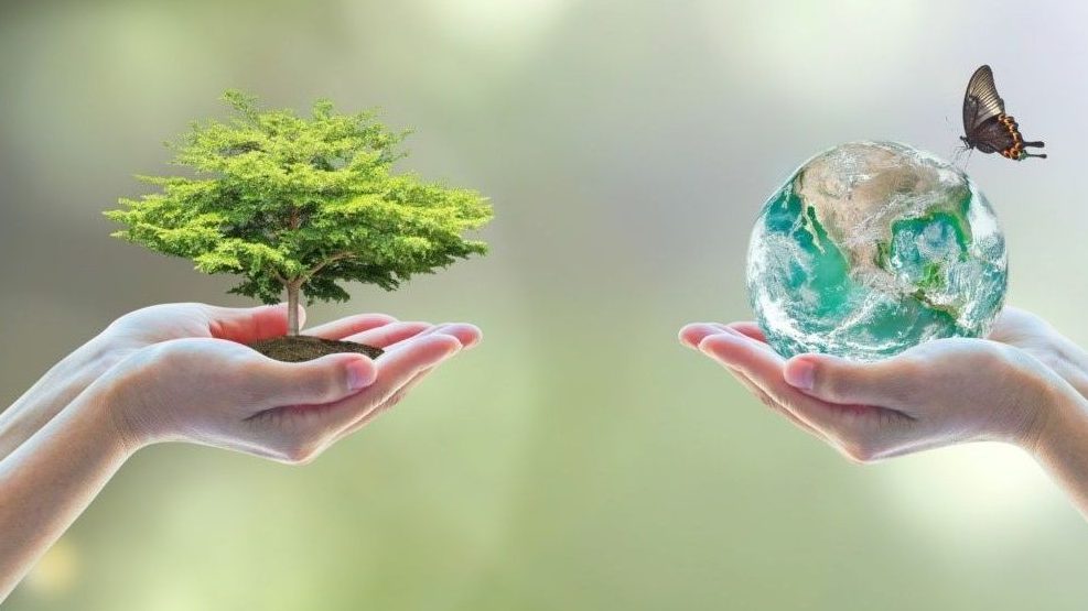 la importancia de los animales polinizadores en nuestros ecosistemas