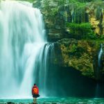 la importancia delparque ecologicoen la conservacion ambiental