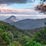 la impresionante diversidad de la flora de costa rica una guia a su riqueza