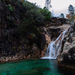 la impresionante diversidad de la flora de portugal un tesoro natural