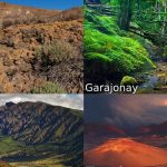 la impresionante y variada flora de galicia tesoros ibericos