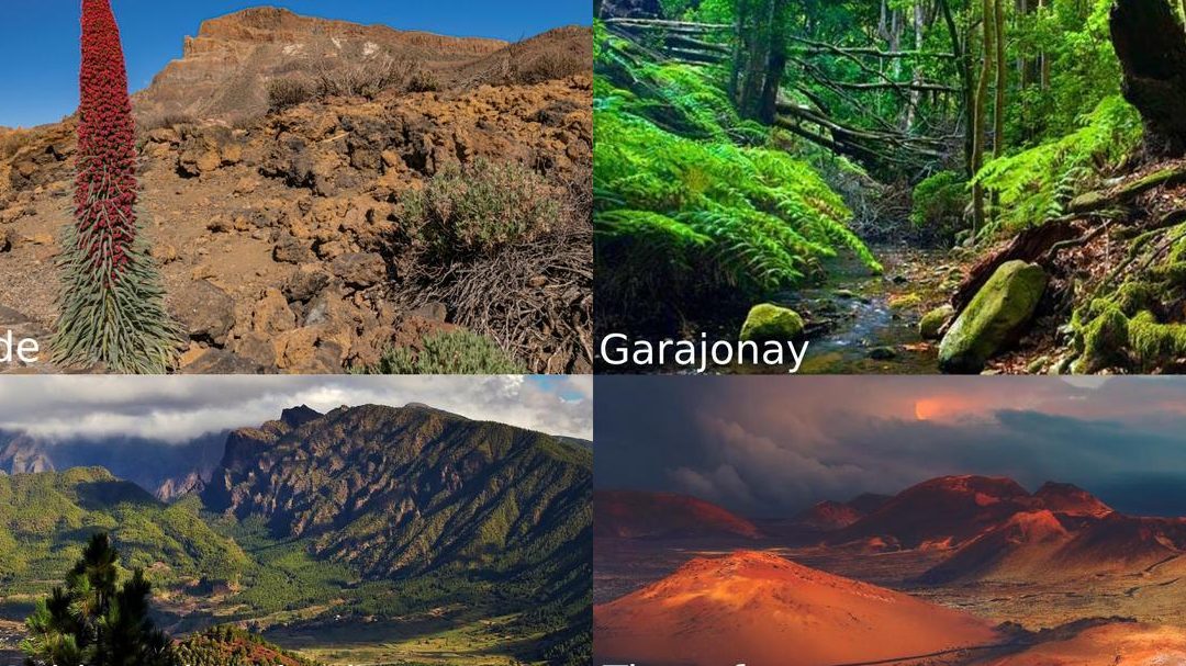 la impresionante y variada flora de galicia tesoros ibericos