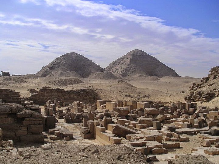 la increible vida delconejo articoen la tundra helada