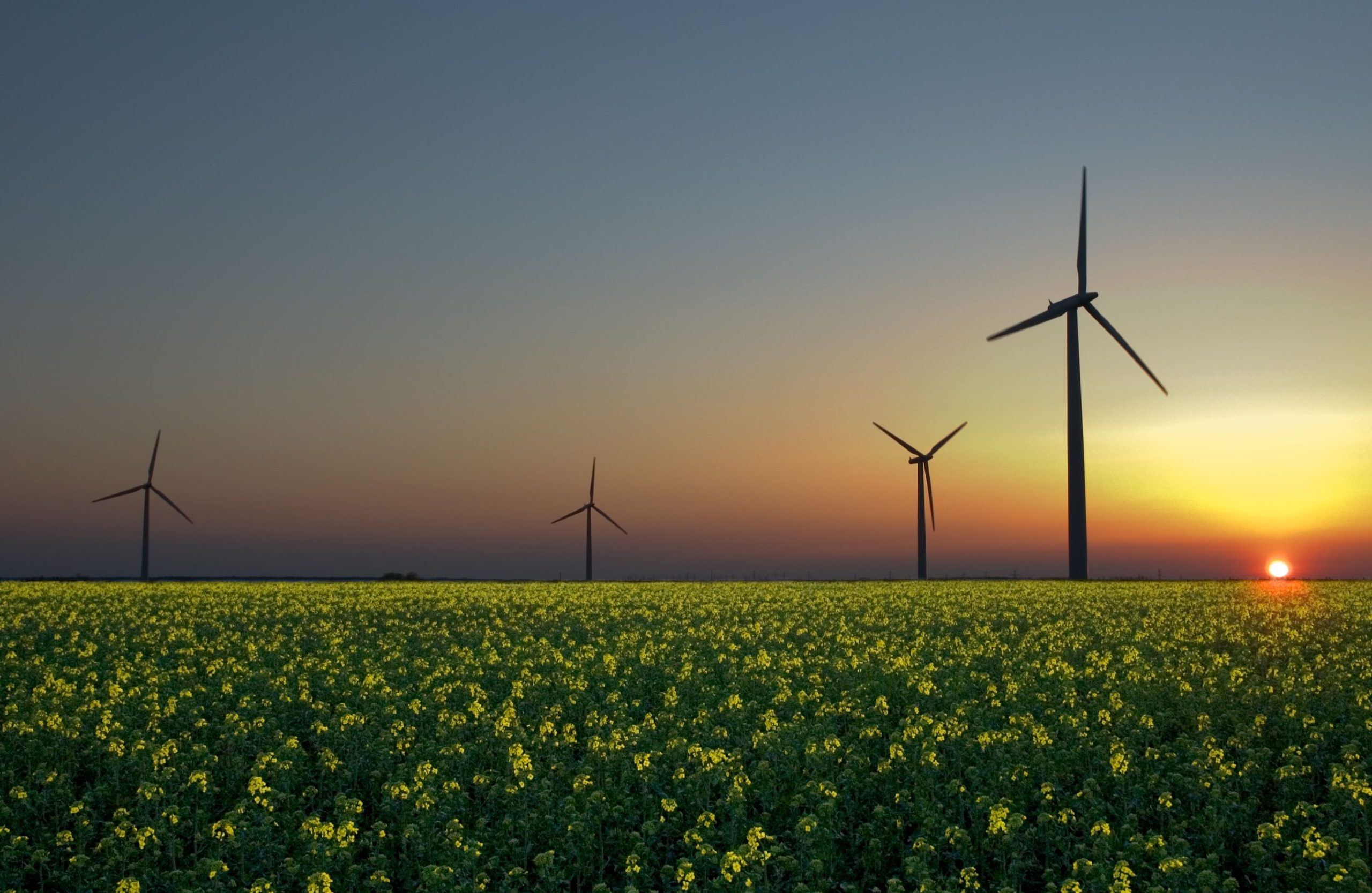 la interconexion de las fuentes de luz artificial y calor scaled