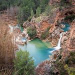 la rica fauna de castilla la mancha un tesoro natural