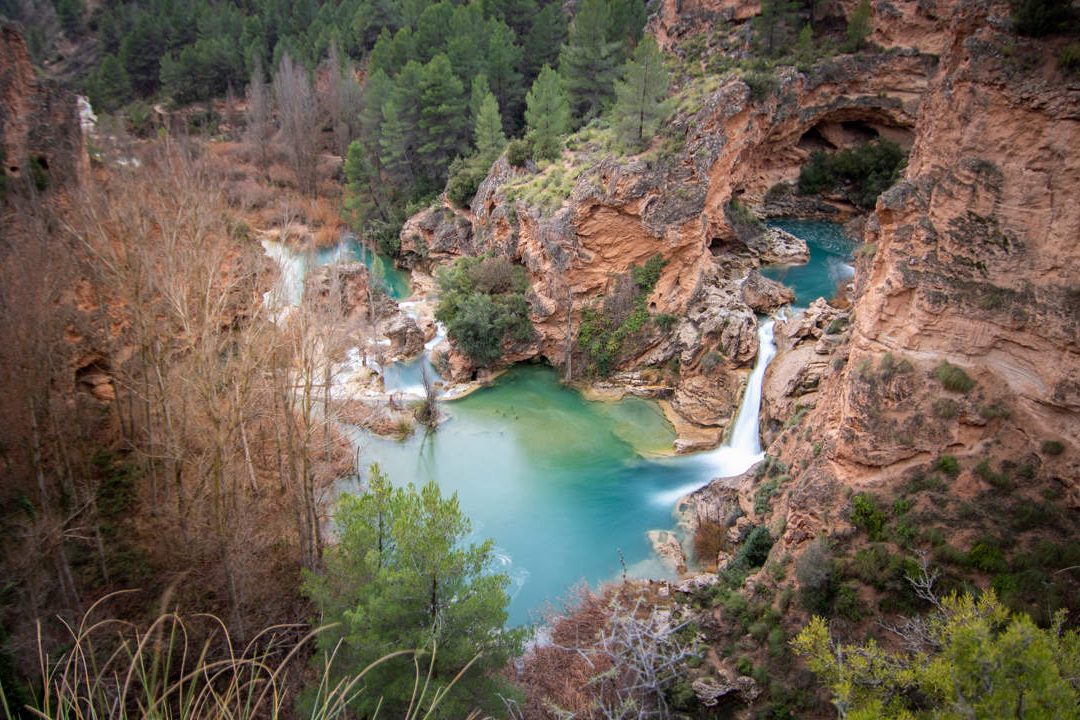 la rica fauna de castilla la mancha un tesoro natural