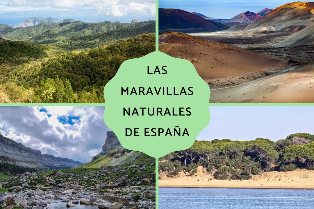 las maravillas de las reservas naturales en espana ejemplos y mas