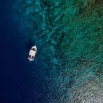 las misteriosas llanuras abisales un mundo por descubrir