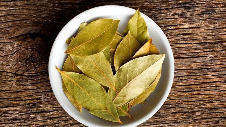 laurel beneficios contraindicaciones y propiedades de la hoja