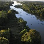 llanuras fluviales el valor de las llanuras aluviales en ecosistemas