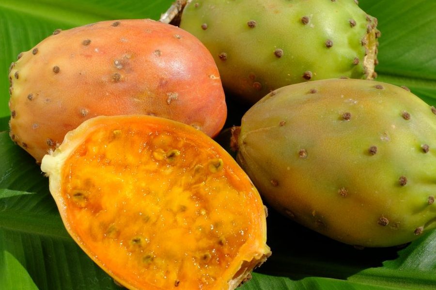 los higos chumbos estrinen como se comen y sus propiedades