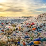 los plasticos de un solo uso un vistazo a su impacto ambiental