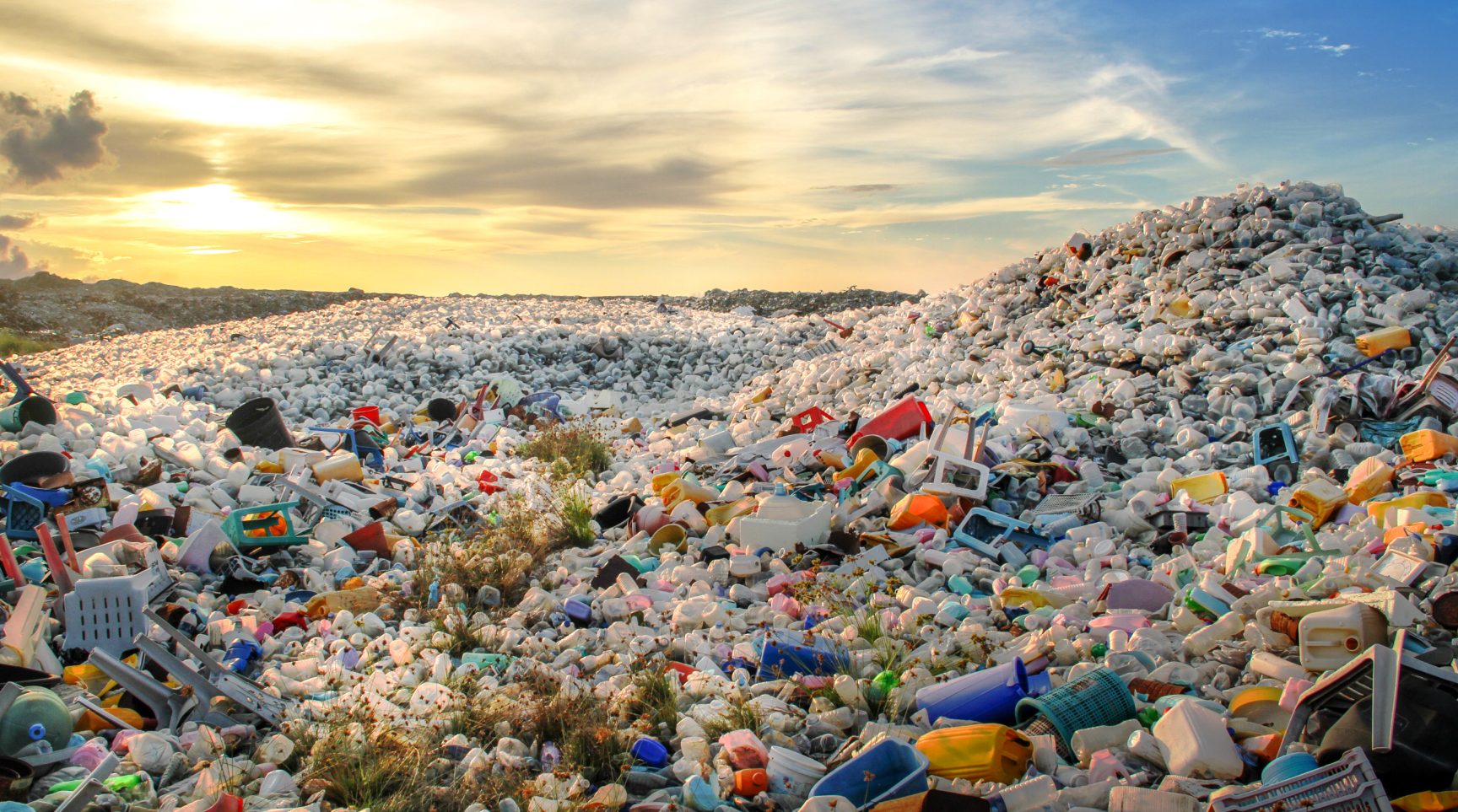 los plasticos de un solo uso un vistazo a su impacto ambiental