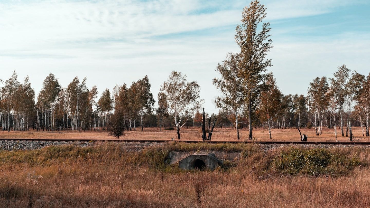 nicho ecologico ejemplos descubriendo que es el nicho ecologico