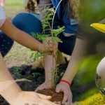 normas para cuidar la naturaleza estrategias para la sostenibilidad