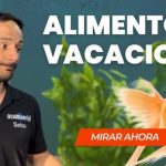 peces carnivoros conoce a los fascinantes peces carnivoros
