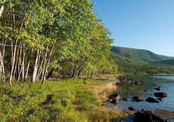 que es un ecosistema mixto ejemplos y tipos de ecosistemas mixtos
