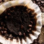 restos de cafe para plantas una guia sobre restos cafe plantas