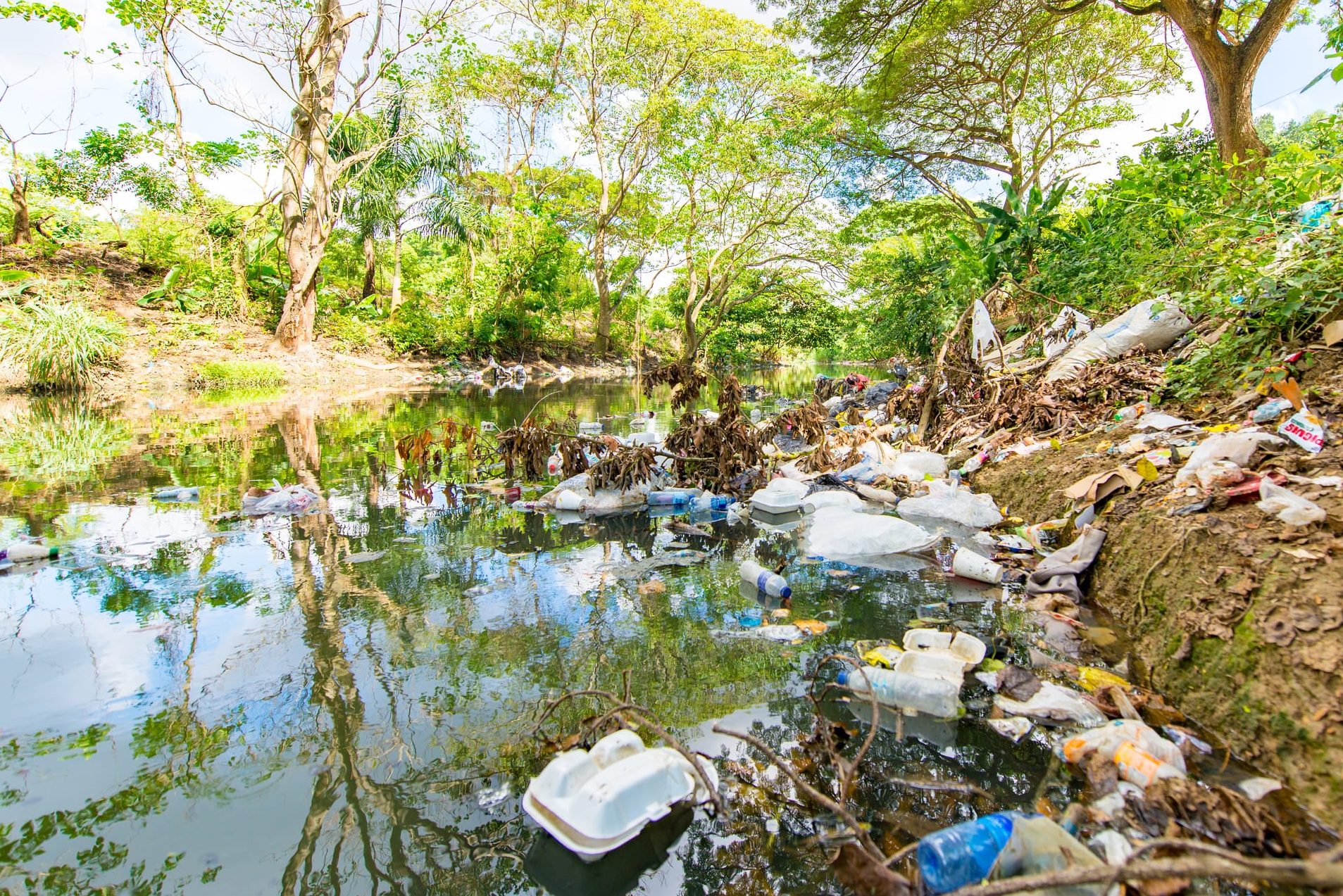 rios contaminados la amenaza que enfrenta nuestro planeta