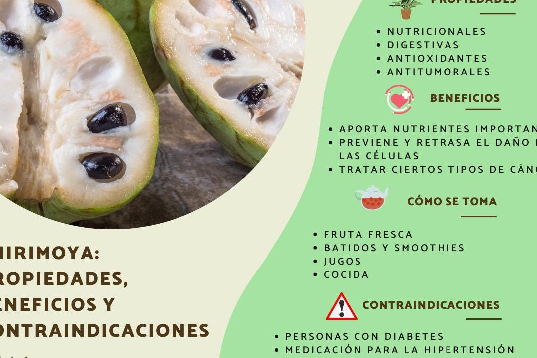 se pueden comer las semillas de chirimoya conoce sus propiedades y contraindicaciones