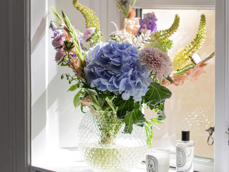 secar hortensias microondas la forma rapida y efectiva