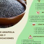 semillas de amapola propiedades y contraindicaciones para tu salud