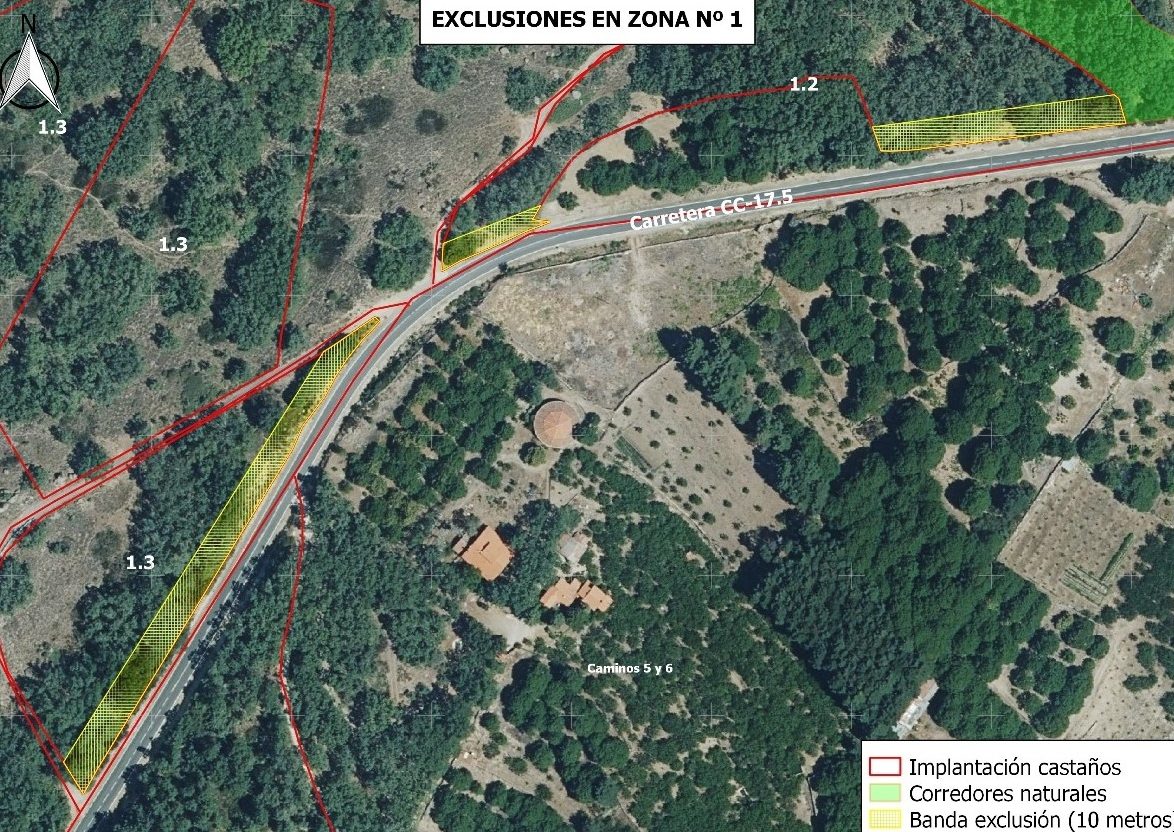 sucesiones ecologicas entendiendo lasucesion ecologicaa fondo