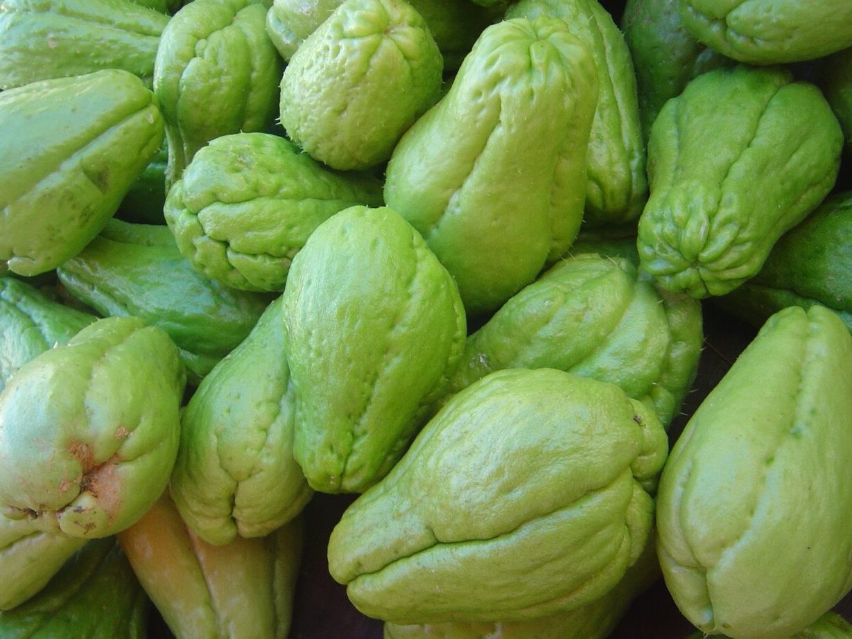 tayota planta beneficios y usos de la sayota en la cocina