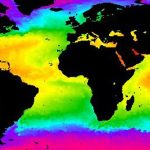 termoclina definicion entendiendo las dinamicas acuaticas
