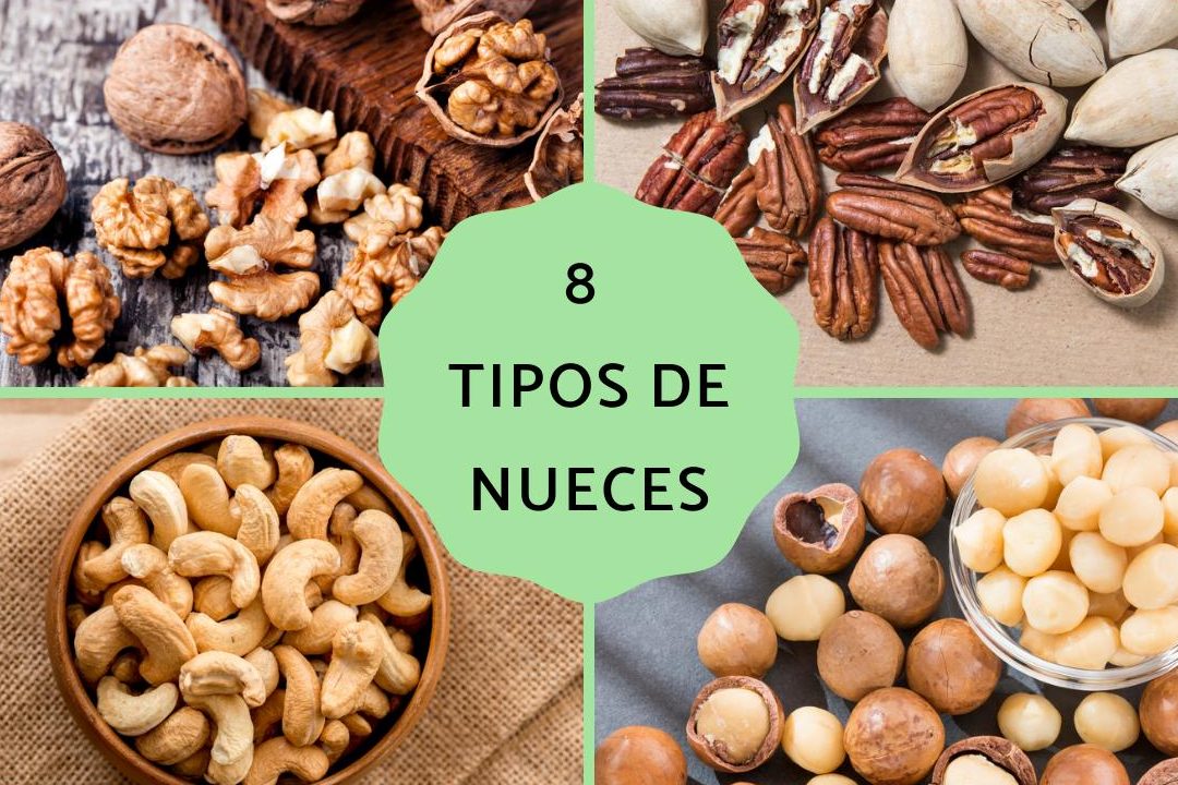 tipos de nuez variedades nombres y fotos de las clases de nueces