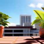 Las bases de plantas resistentes al sol para terrazas que uno puede aprovechar a partir de hoy 1739983074
