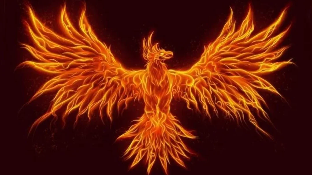 ave del paraiso pajaro simbolismo de vida y muerte