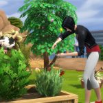 como subir la habilidad de jardineria en los sims facilmente