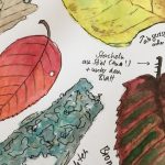 dibujo hoja castano faciles hechos sobre castana dibujo