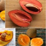 mamon fruta en espana beneficios y recetas deliciosas