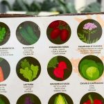 que sembrar en septiembre guia para un jardin productivo