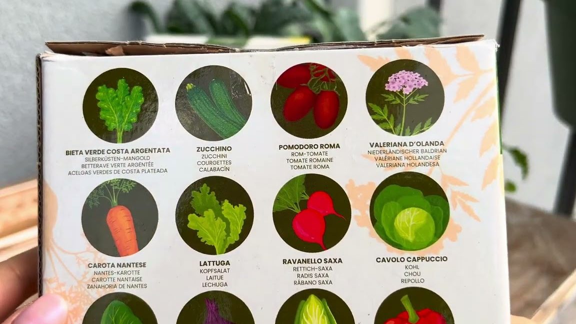 que sembrar en septiembre guia para un jardin productivo