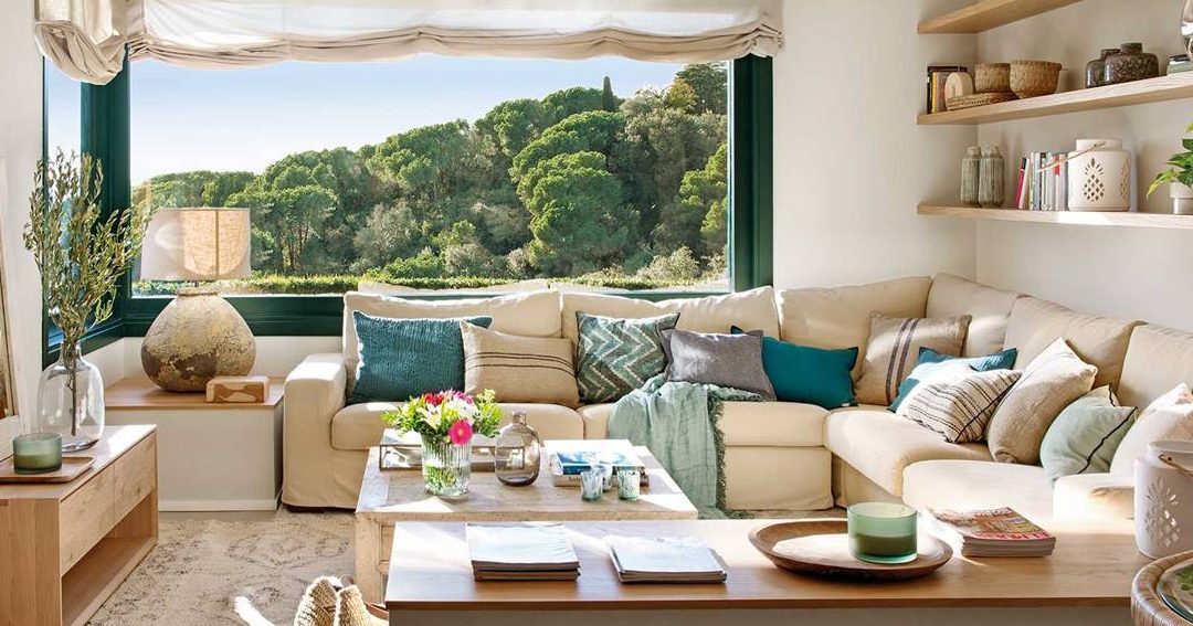 sofas a prueba de gatos guia para elegir muebles resistentes